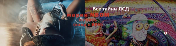 герыч Алексин