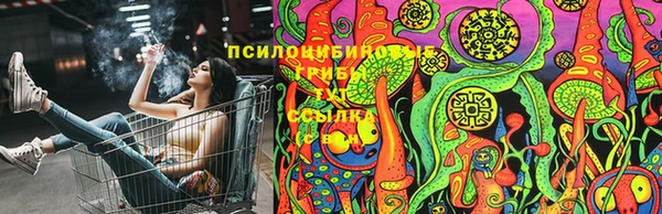 каннабис Абаза