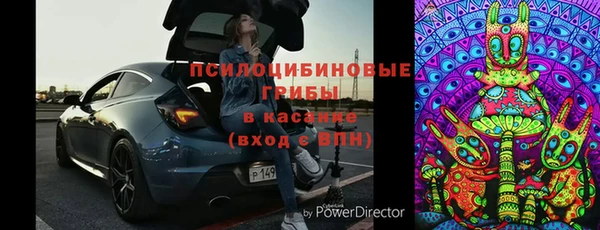 винт Алзамай